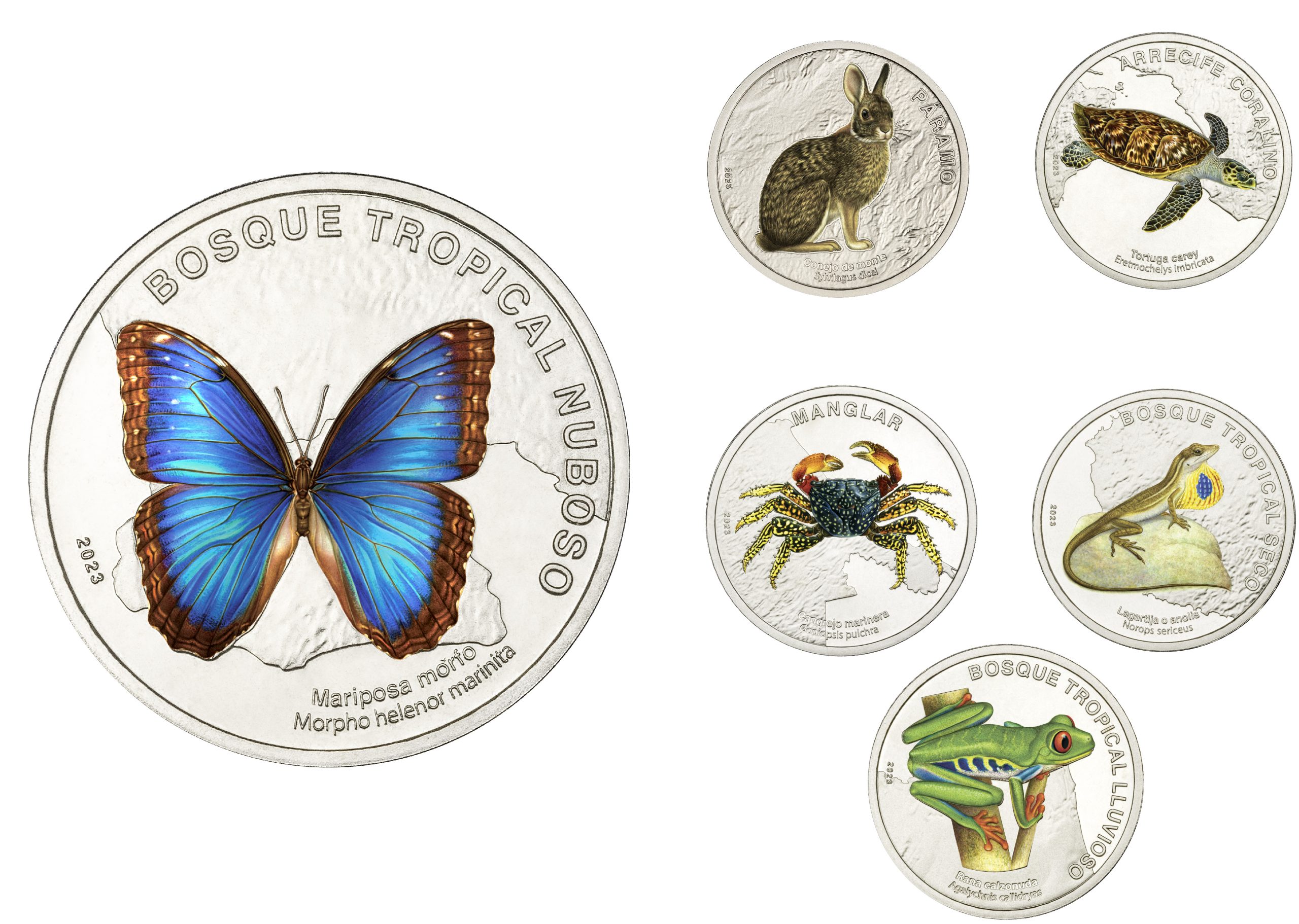 Fauna costarricense protagoniza nuevas monedas de 50 colones