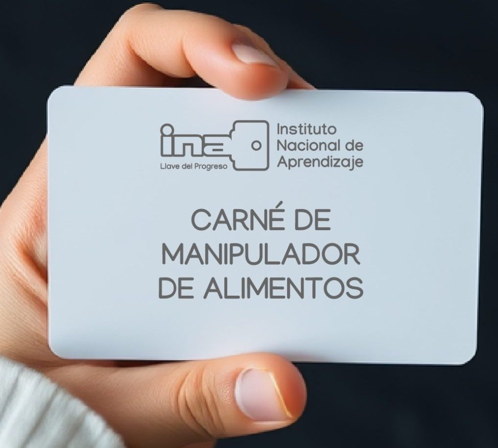 Renovación del carné de Manipulación de Alimentos: nuevas disposiciones entran en vigor