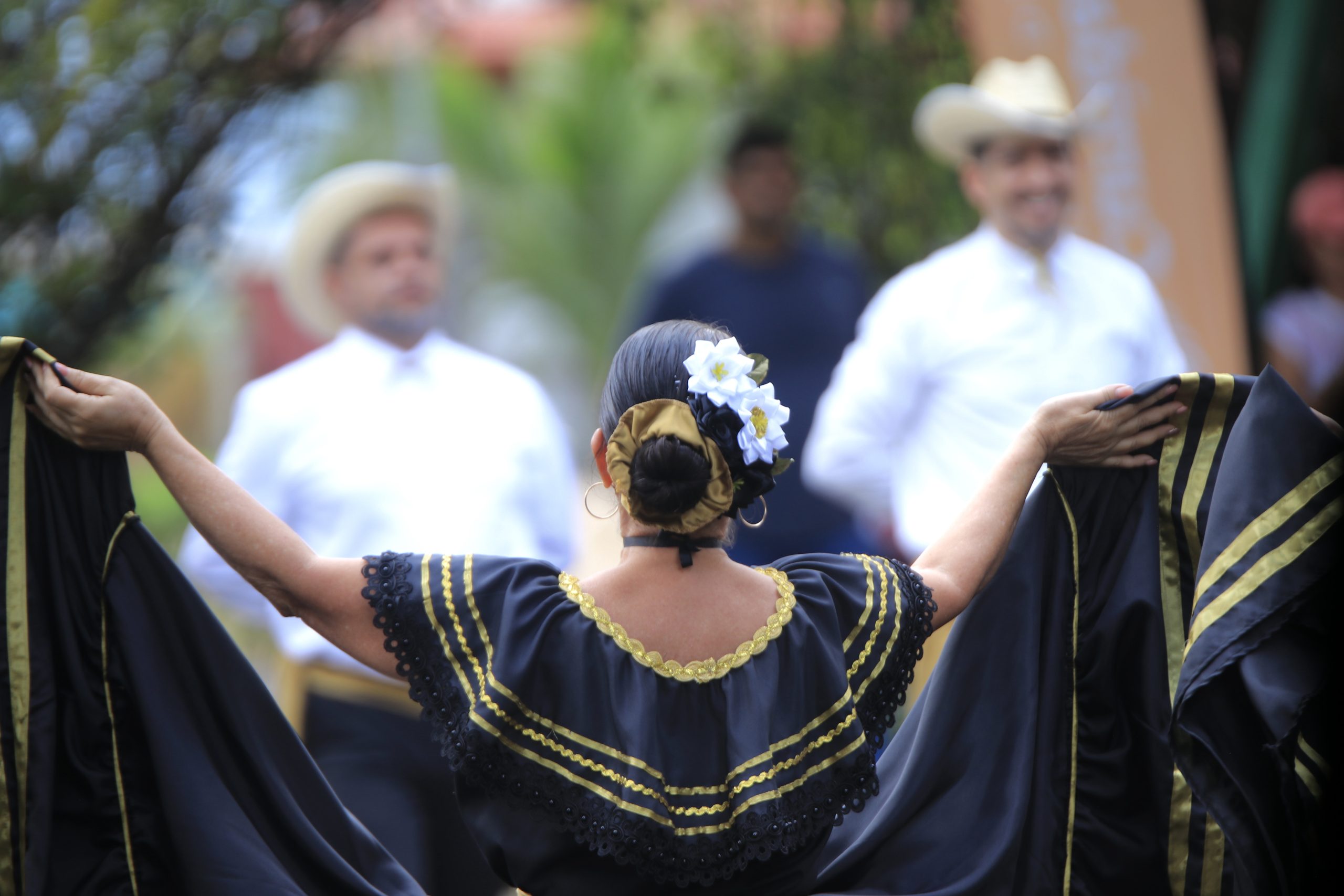 Sea parte de la actualización de la Política Cultural Cantonal de Curridabat