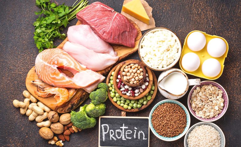 La proteína y su papel en el cuerpo humano