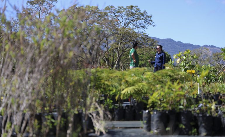 CITBIO impulsa producción de plantas nativas para parques y espacios públicos en Curridabat