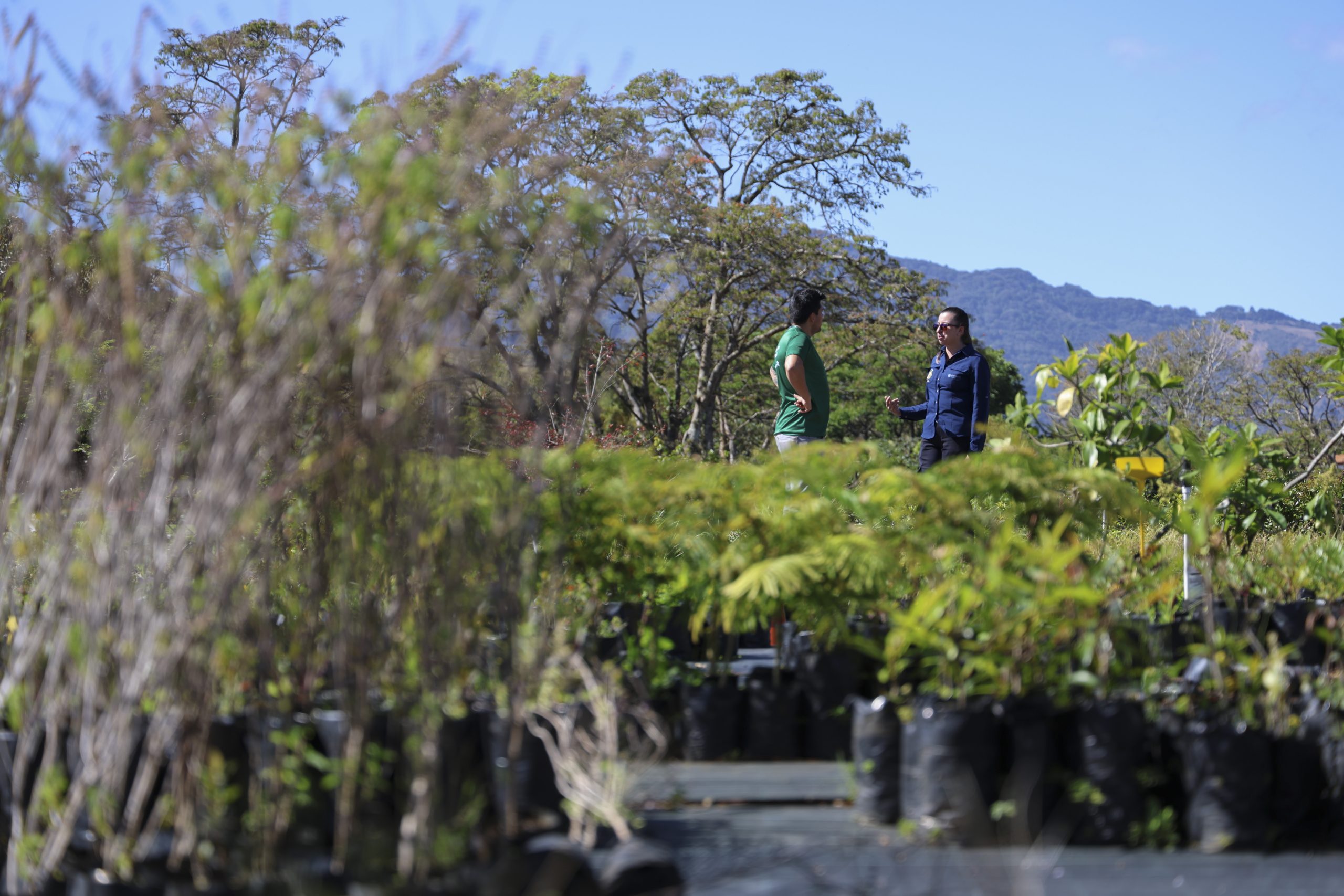 CITBIO impulsa producción de plantas nativas para parques y espacios públicos en Curridabat